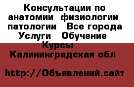 Консультации по анатомии, физиологии, патологии - Все города Услуги » Обучение. Курсы   . Калининградская обл.